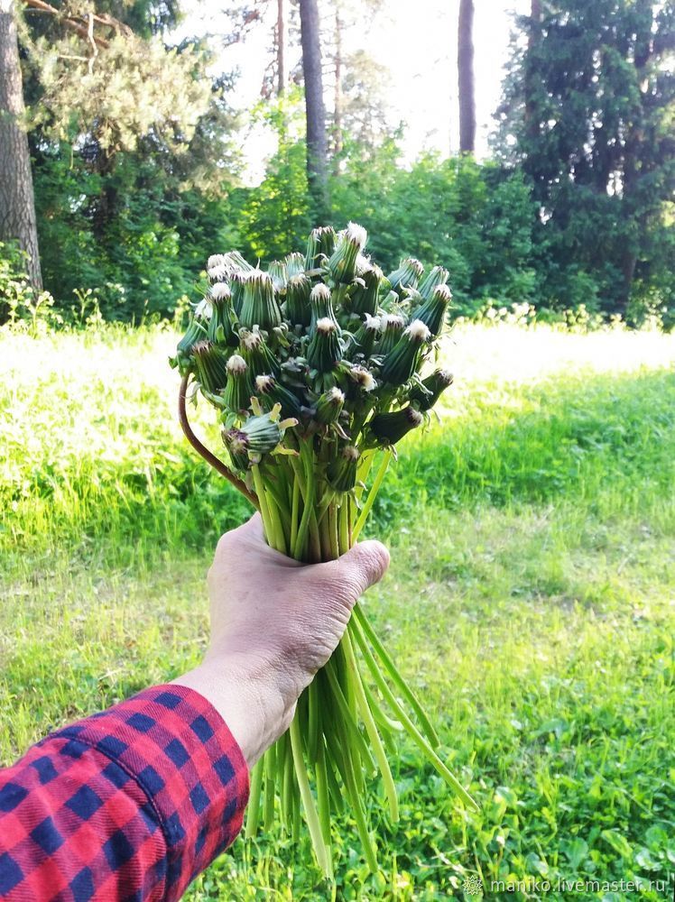 Сезонный одуванчиковый декор. Плетем венок, фото № 1